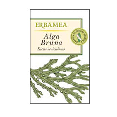ALGA BRUNA