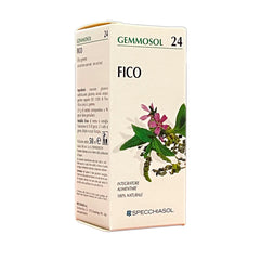 FICO Macerato Glicerico