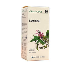 LAMPONE Macerato Glicerico