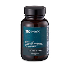 Principium Q10 Max