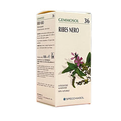 RIBES NERO Macerato Glicerico