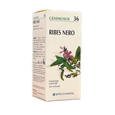 RIBES NERO Macerato Glicerico