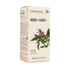 RIBES NERO Macerato Glicerico