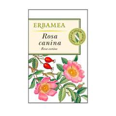 ROSA CANINA