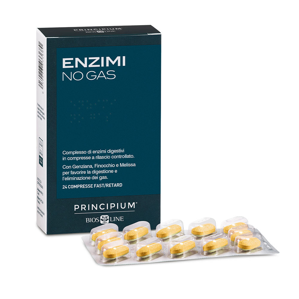 Principium Enzimi No Gas
