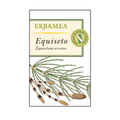 EQUISETO
