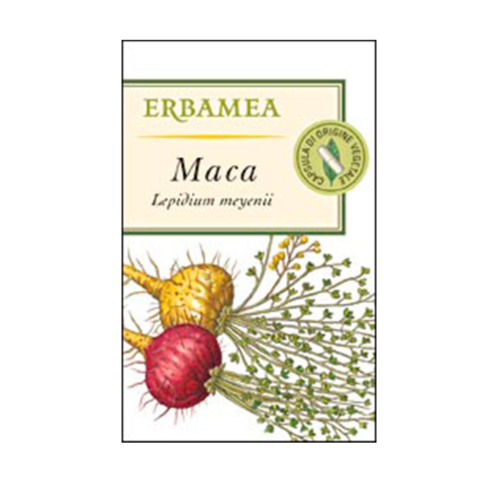 MACA