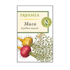 MACA