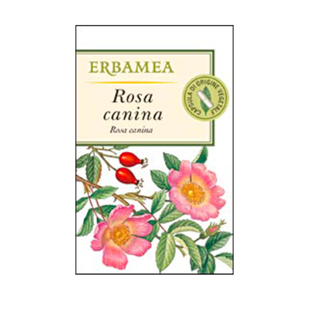ROSA CANINA